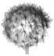 The Assayer
